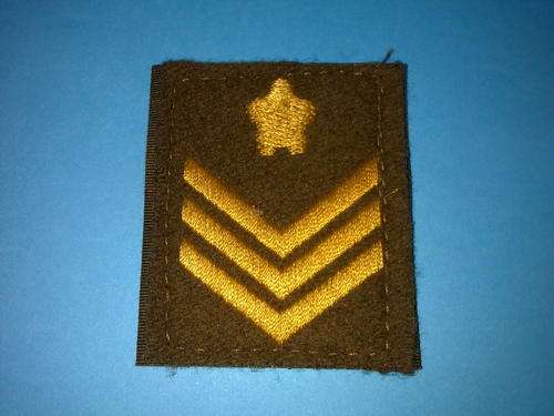 SA ARMY STAFF SERGEANT NUTRIA RANK BADGE